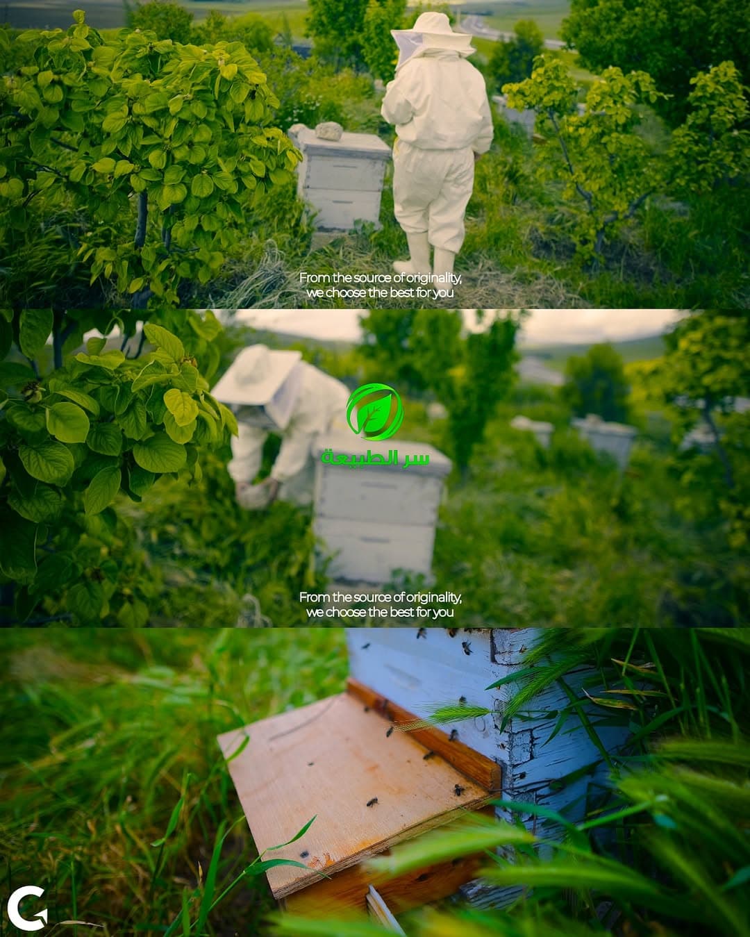 Studio Photographie Professionnel : L'Art de Capturer l'Essence